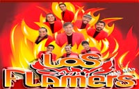 los flammers Informes y contrataciones directas